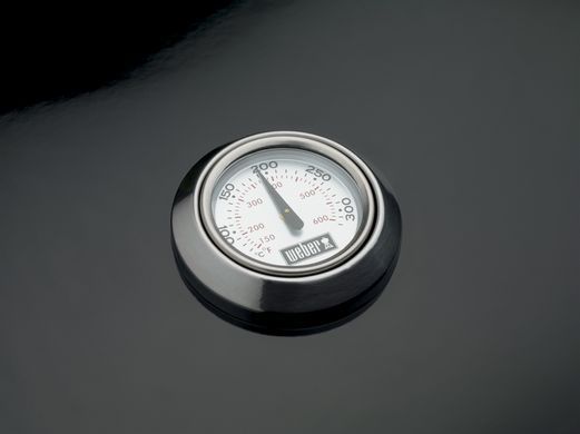 Вугільний гриль Weber Performer GBS 57 см,чорний
