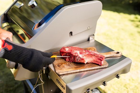 Газовий гриль Weber Spirit II E-310 GBS, чорний