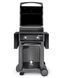 Газовый гриль Weber Spirit E-210 Classic, черный