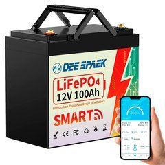 Литий-железо-фосфатный аккумулятор DEE SPAEK LiFePO4 12V 100 Ah Bluetooth Mini (1280Wh) (BMS 100A)