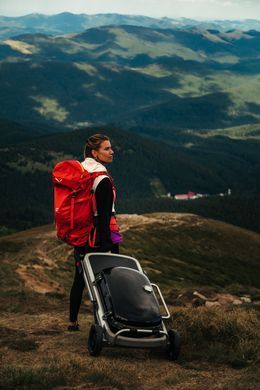 Газовый гриль Weber Traveler черный