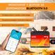 Литий-железо-фосфатный аккумулятор MOSEWORTH LiFePO4 12V 100 Ah Smart (1280Wh) (BMS 100A), Чорний