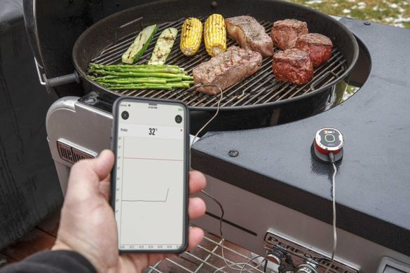 Термометр  Weber iGrill&trade; mini
