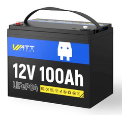 Литий-железо-фосфатный аккумулятор WATTCycle LiFePO4 12V 100 Ah (1280Wh) (BMS50/100A) WT12V100AH100