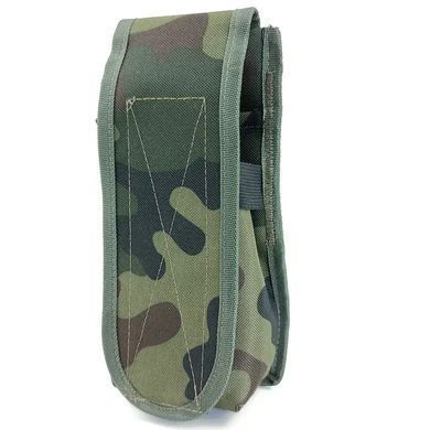 Підсумок закритий одинарний для 2 магазинів АК Cordura мультикам (LE2963)