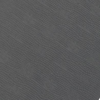 Каремат Ranger EVA 200x60 gray Logo (RA8902L)